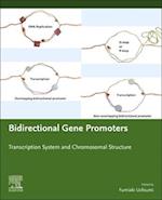 Bidirectional Gene Promoters