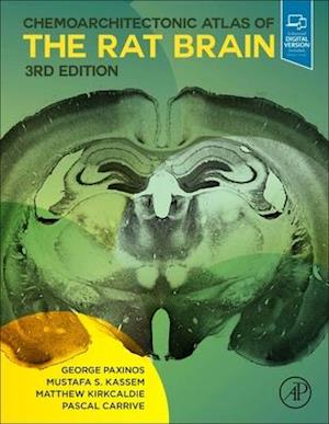 Chemoarchitectonic Atlas of the Rat Brain