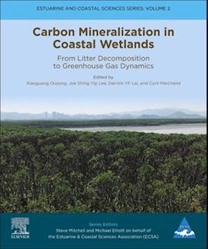 Carbon Mineralization in Coastal Wetlands