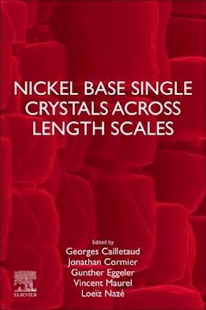 Nickel Base Single Crystals Across Length Scales