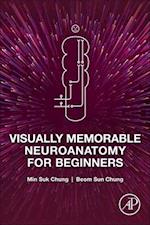 Visually Memorable Neuroanatomy for Beginners