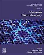 Nanoscale Electrochemistry