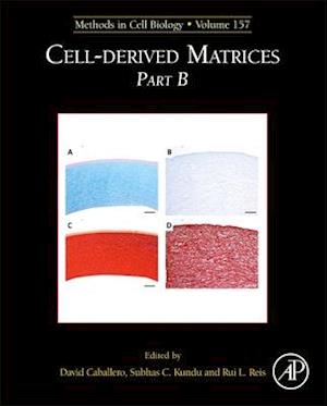 Cell-Derived Matrices Part B