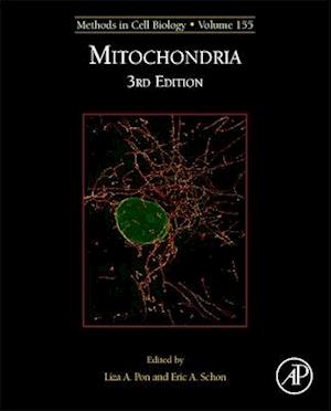 Mitochondria Biology