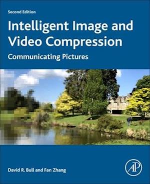Intelligent Image and Video Compression
