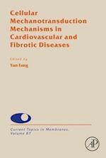 Cellular Mechanotransduction Mechanisms in Cardiovascular and Fibrotic Diseases