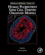 Human Pluripotent Stem Cell Derived Organoid Models