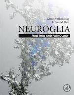 Neuroglia: Function and Pathology