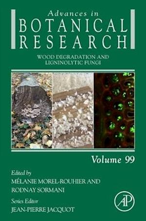 Wood Degradation and Ligninolytic Fungi