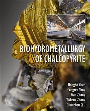 Biohydrometallurgy of Chalcopyrite