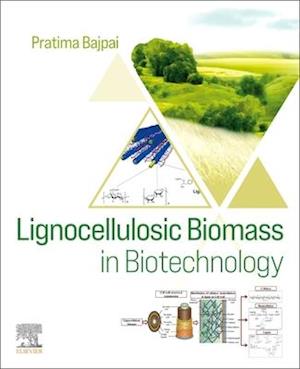 Lignocellulosic Biomass in Biotechnology