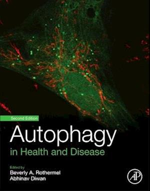 Autophagy in Health and Disease