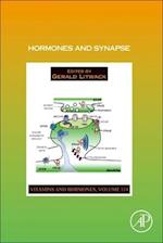 Hormones and Synapse