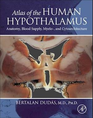 Atlas of the Human Hypothalamus