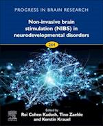 Non-invasive Brain Stimulation (NIBS) in Neurodevelopmental Disorders