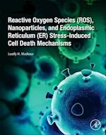 Reactive Oxygen Species (ROS), Nanoparticles, and Endoplasmic Reticulum (ER) Stress-Induced Cell Death Mechanisms