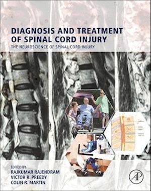 Diagnosis and Treatment of Spinal Cord Injury