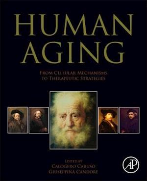 Human Aging