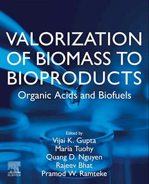 Valorization of Biomass to Bioproducts