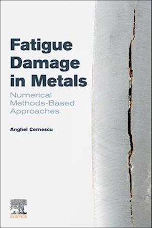 Fatigue Damage in Metals