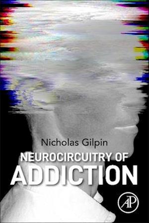 Neurocircuitry of Addiction