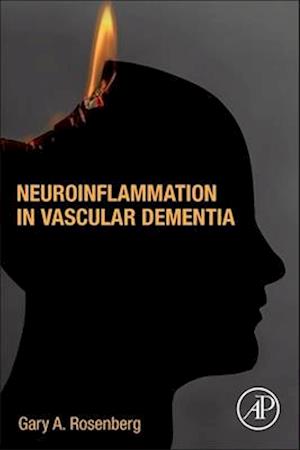 Neuroinflammation in Vascular Dementia