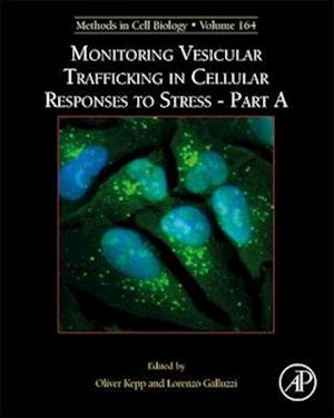 Monitoring Vesicular Trafficking in Cellular Responses to Stress