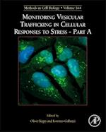 Monitoring Vesicular Trafficking in Cellular Responses to Stress