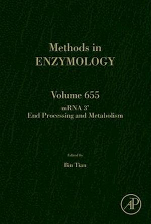 mRNA 3' End Processing and Metabolism