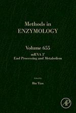 mRNA 3’ End Processing and Metabolism