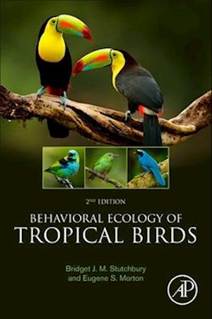 Behavioral Ecology of Tropical Birds