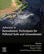 Advances in Remediation Techniques for Polluted Soils and Groundwater