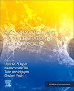 Biodegradation and Biodeterioration at the Nanoscale