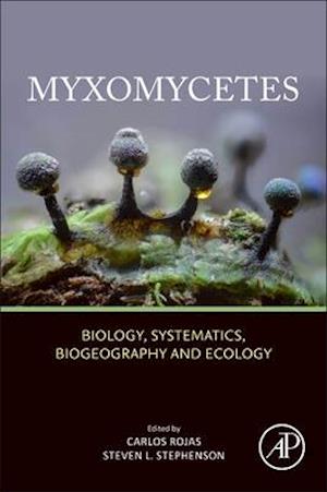 Myxomycetes