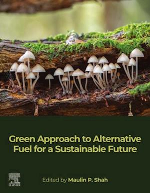 Green Approach to Alternative Fuel for a Sustainable Future