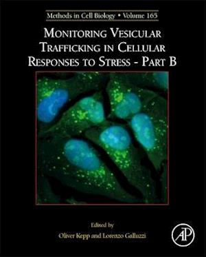 Monitoring Vesicular Trafficking in Cellular Responses to Stress - Part B