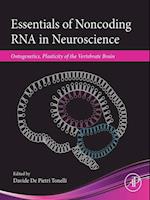 Essentials of Noncoding RNA in Neuroscience