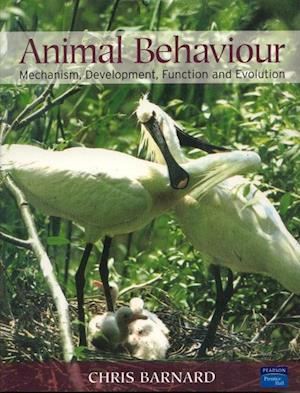 Animal Behaviour