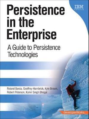 Persistence in the Enterprise