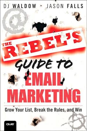 Rebel's Guide to Email Marketing, The