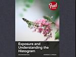 Exposure and Understanding the Histogram