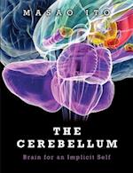 The Cerebellum