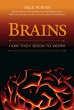 Brains