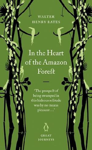 In the Heart of the Amazon Forest