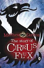 Story of Cirrus Flux