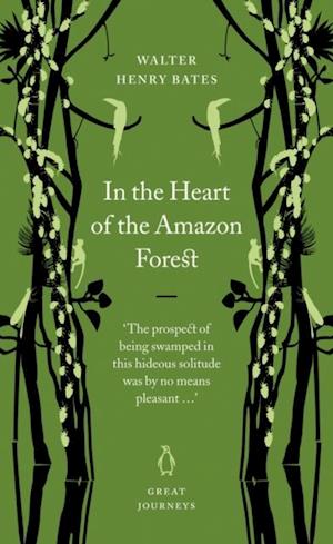 In the Heart of the Amazon Forest