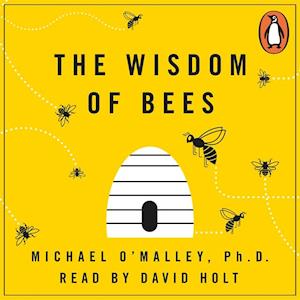 Wisdom of Bees