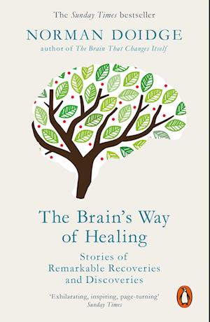 The Brain's Way of Healing