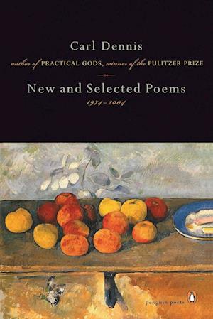 New and Selected Poems 1974-2004