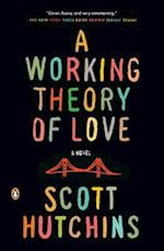 A Working Theory of Love